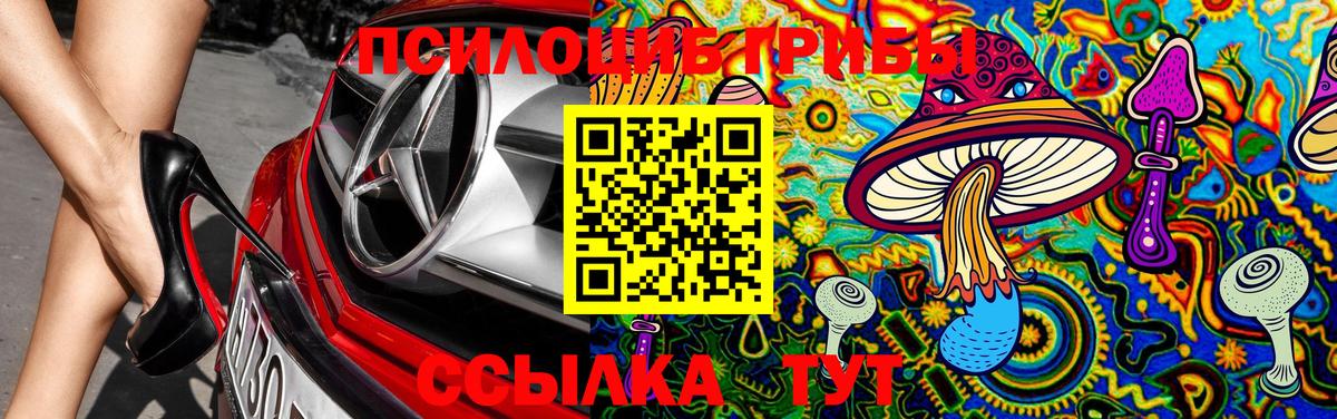 Соликамск  Псилоцибиновые грибы Psilocybine cubensis  Вход с VPN 